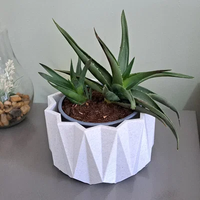 Chậu Cây Đa Giác Trang Trí Để Bàn (Decorative Plant Pot)