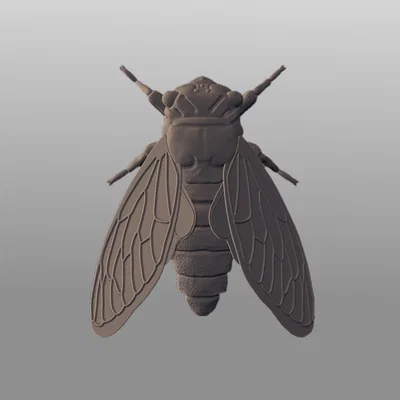 Tượng Ve Sầu (Cicada Sculpture)