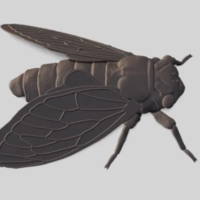 Tượng Ve Sầu (Cicada Sculpture)