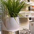 Plantfinity - Chậu cây cho Multiboard/Gridfinity - Thumbnail 1