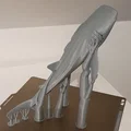 Cá Nhám Voi Hùng Vĩ (Majestic Whale Shark) - Thumbnail 1