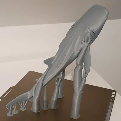 Cá Nhám Voi Hùng Vĩ (Majestic Whale Shark)