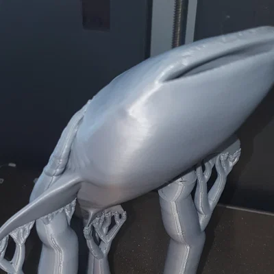 Cá Nhám Voi Hùng Vĩ (Majestic Whale Shark)