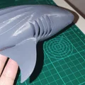 Cá Nhám Voi Hùng Vĩ (Majestic Whale Shark) - Thumbnail 4