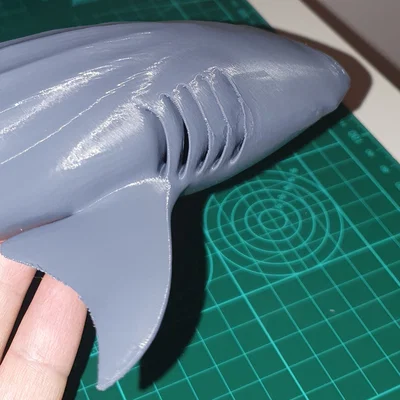 Cá Nhám Voi Hùng Vĩ (Majestic Whale Shark)