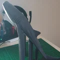 Cá Nhám Voi Hùng Vĩ (Majestic Whale Shark) - Thumbnail 6