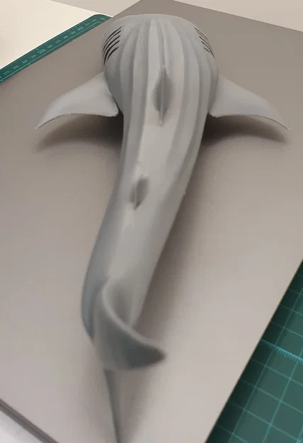 Cá Nhám Voi Hùng Vĩ (Majestic Whale Shark) - Image 7