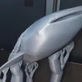 Cá Nhám Voi Hùng Vĩ (Majestic Whale Shark) - Thumbnail 11