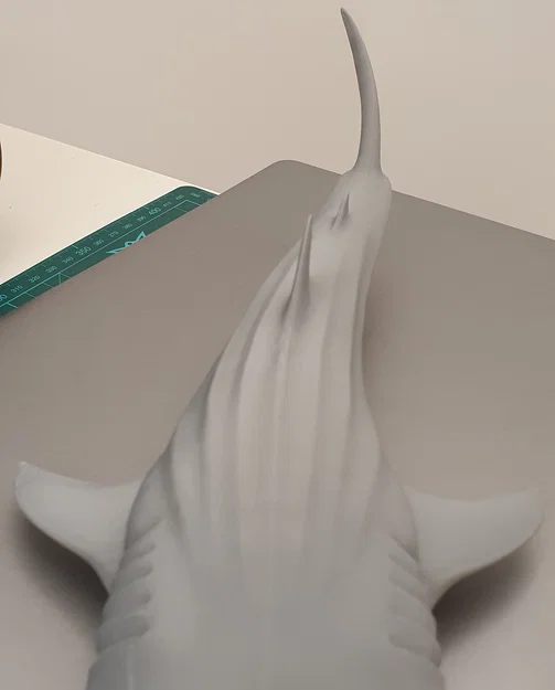 Cá Nhám Voi Hùng Vĩ (Majestic Whale Shark) - Image 12