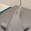 Cá Nhám Voi Hùng Vĩ (Majestic Whale Shark) - Thumbnail 12