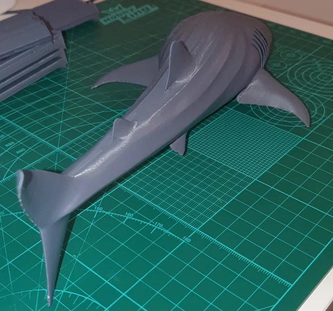Cá Nhám Voi Hùng Vĩ (Majestic Whale Shark) - Image 13