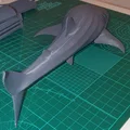 Cá Nhám Voi Hùng Vĩ (Majestic Whale Shark) - Thumbnail 13