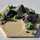 Edge231_555164