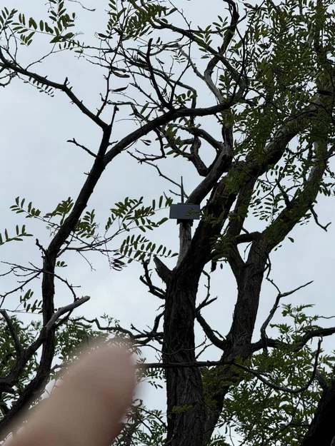 Meshcore Meshtastic solar node RAK v3 - Image 15