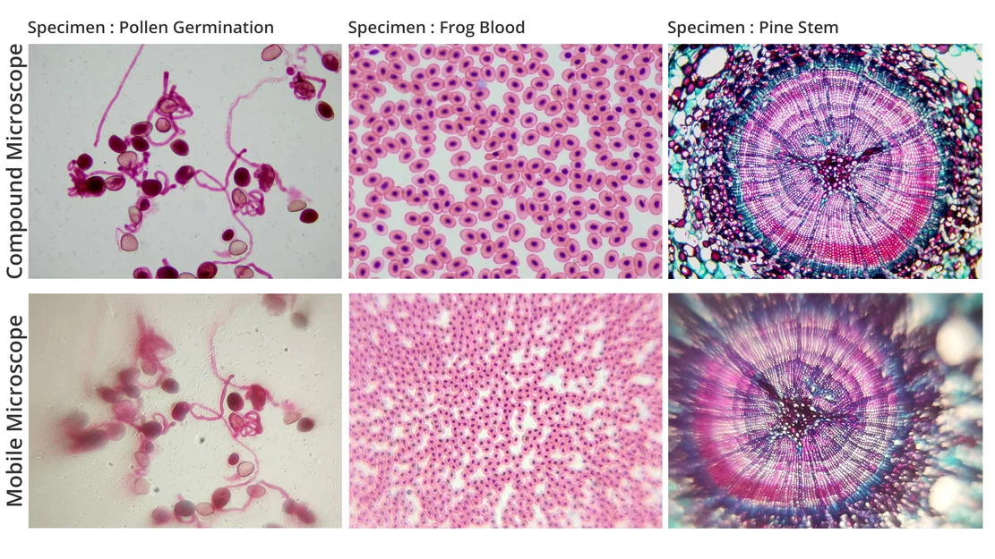 Mobile Microscope – Kính hiển vi gắn smartphone in 3D siêu tiết kiệm - Image 5