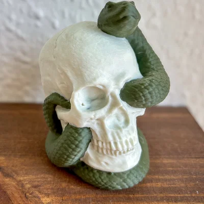 Snake Skull – Hộp sọ kèm rắn in 3D