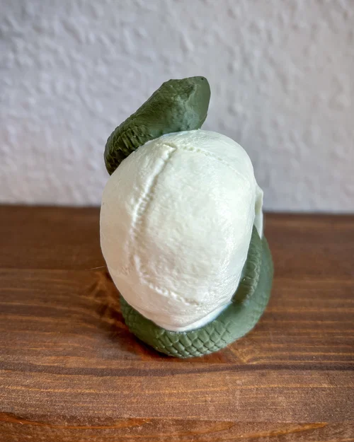 Snake Skull – Hộp sọ kèm rắn in 3D - Image 2