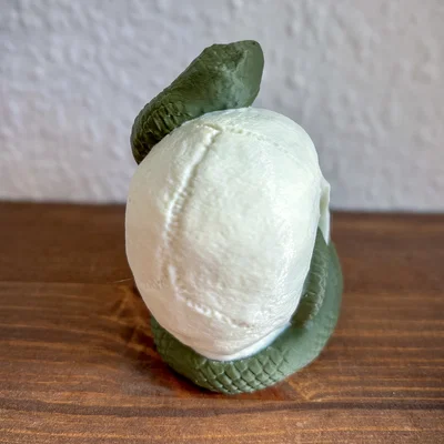 Snake Skull – Hộp sọ kèm rắn in 3D