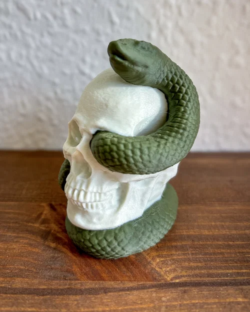 Snake Skull – Hộp sọ kèm rắn in 3D - Image 3