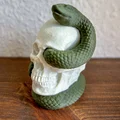 Snake Skull – Hộp sọ kèm rắn in 3D - Thumbnail 3
