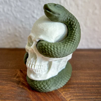 Snake Skull – Hộp sọ kèm rắn in 3D