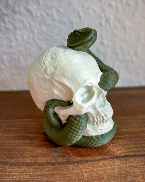 Snake Skull – Hộp sọ kèm rắn in 3D - Image 4