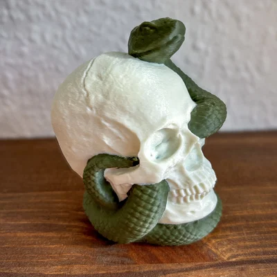Snake Skull – Hộp sọ kèm rắn in 3D