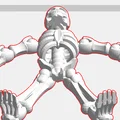 Mô hình bộ xương người cử động linh hoạt (Skeleton) in 3D - Thumbnail 1