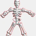 Mô hình bộ xương người cử động linh hoạt (Skeleton) in 3D - Thumbnail 2