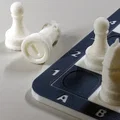 Bộ Cờ Vua Có Tạ (Weighted Chess Set) - Thumbnail 2