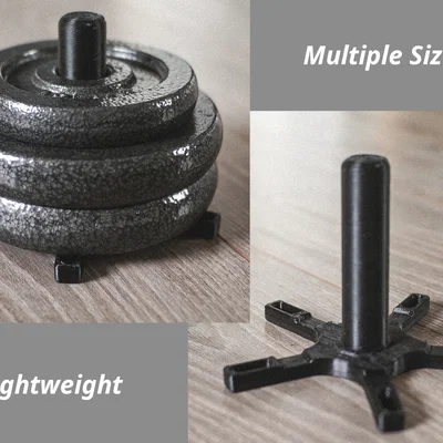 Giá đỡ đĩa tạ tiết kiệm (Economic Weight Plates Holder)