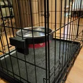 Bracket gắn vào crate giữ tô nước/đồ ăn (Crate-mounted Water/Food Bowl) - Thumbnail 1
