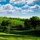 AdamMoyer_3959121