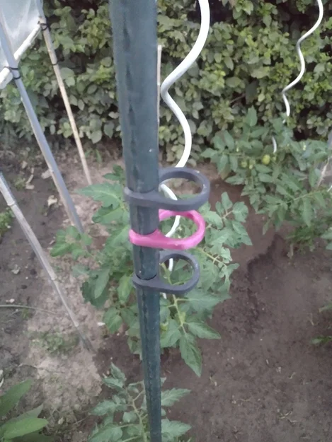 Kẹp dẫn cây cà chua (Planten clip tomaten / plant clip tomatoes) - Image 1