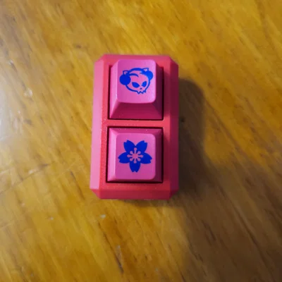 Đồ chơi fidget Double Mechanical Switch cho switch cơ