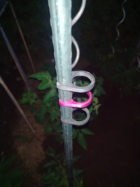 Kẹp dẫn cây cà chua (Planten clip tomaten / plant clip tomatoes) - Image 10