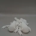 Rồng Khớp Nối (Articulated Dragon) - Thumbnail 5