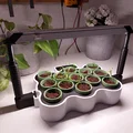 Seed Starter – Bộ ươm hạt tự tưới, chỉnh khoảng cách đèn - Thumbnail 1