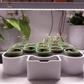 Seed Starter – Bộ ươm hạt tự tưới, chỉnh khoảng cách đèn - Thumbnail 2