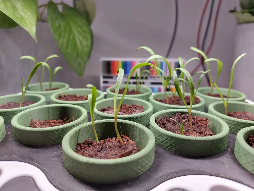 Seed Starter – Bộ ươm hạt tự tưới, chỉnh khoảng cách đèn - Image 4