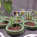 Seed Starter – Bộ ươm hạt tự tưới, chỉnh khoảng cách đèn - Thumbnail 4