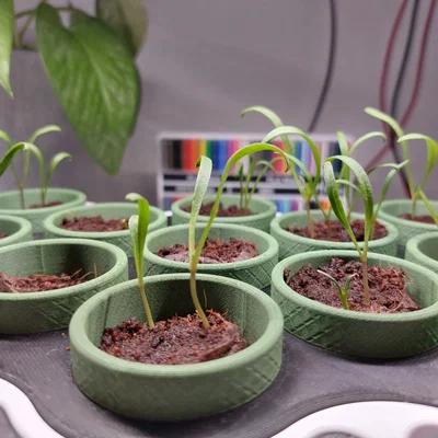 Seed Starter – Bộ ươm hạt tự tưới, chỉnh khoảng cách đèn