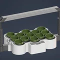 Seed Starter – Bộ ươm hạt tự tưới, chỉnh khoảng cách đèn - Thumbnail 5