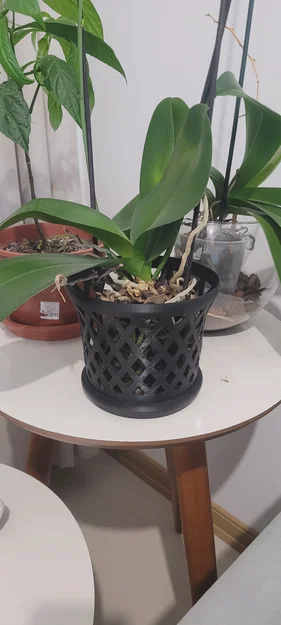 Chậu trồng lan 3D (Orchid Pot) thiết kế lưới thoáng khí tối ưu - Image 1