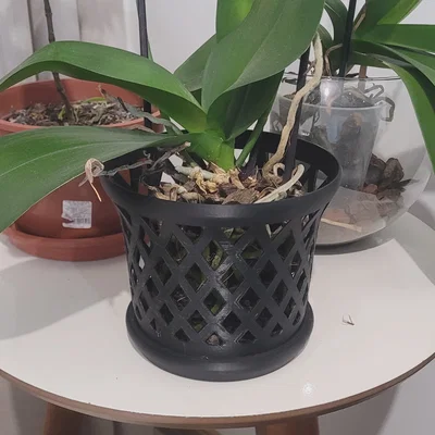 Chậu trồng lan 3D (Orchid Pot) thiết kế lưới thoáng khí tối ưu