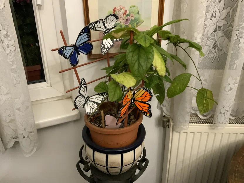 Bướm Monarch (đã sửa lỗi) - Image 7