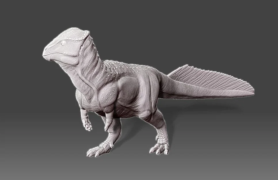Tượng Stegoceras (Stegoceras Statue) - Image 1