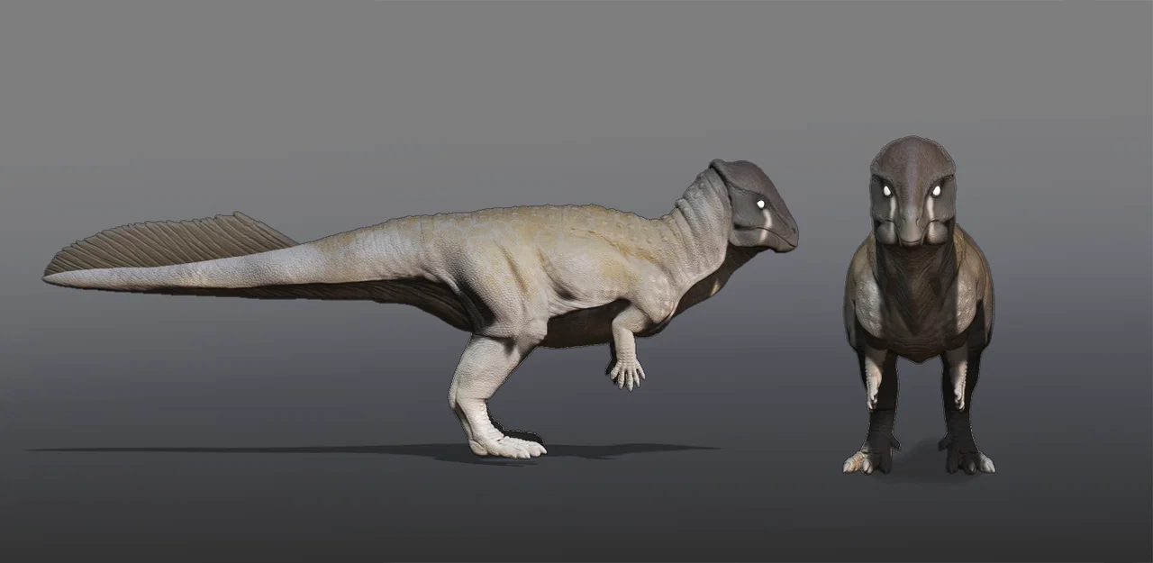 Tượng Stegoceras (Stegoceras Statue) - Image 3