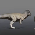 Tượng Stegoceras (Stegoceras Statue) - Thumbnail 3