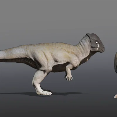 Tượng Stegoceras (Stegoceras Statue)